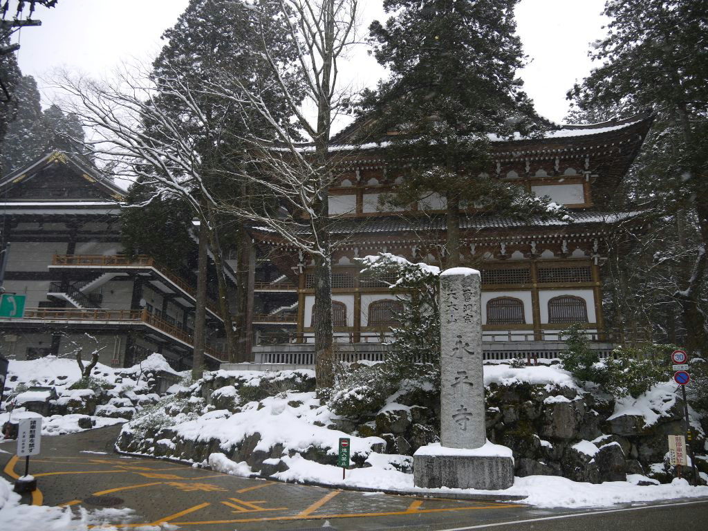P1060144.jpg